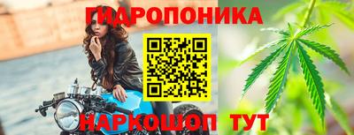 СК Мариинск